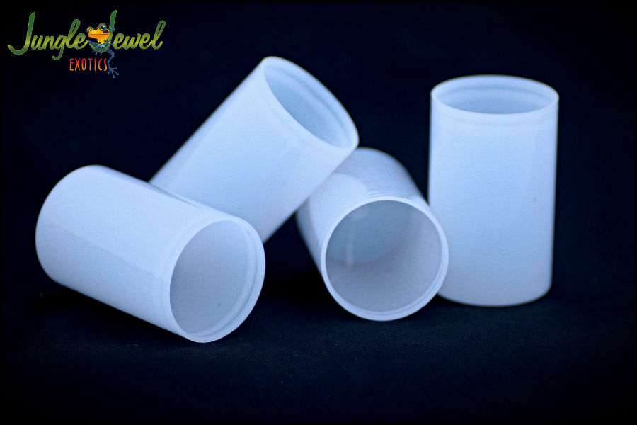 Film Canister (4 Pack)